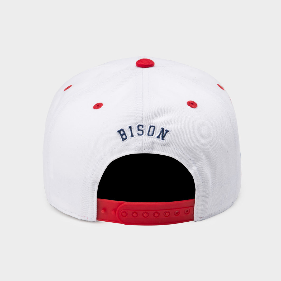 Howard Bison Retro '90s-Inspired Snapback