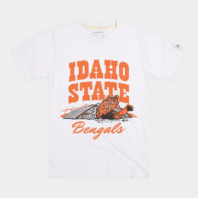 : Idaho State Bengals Victory Vintage Dark Heather Pullover  Hoodie : Sports & Outdoors