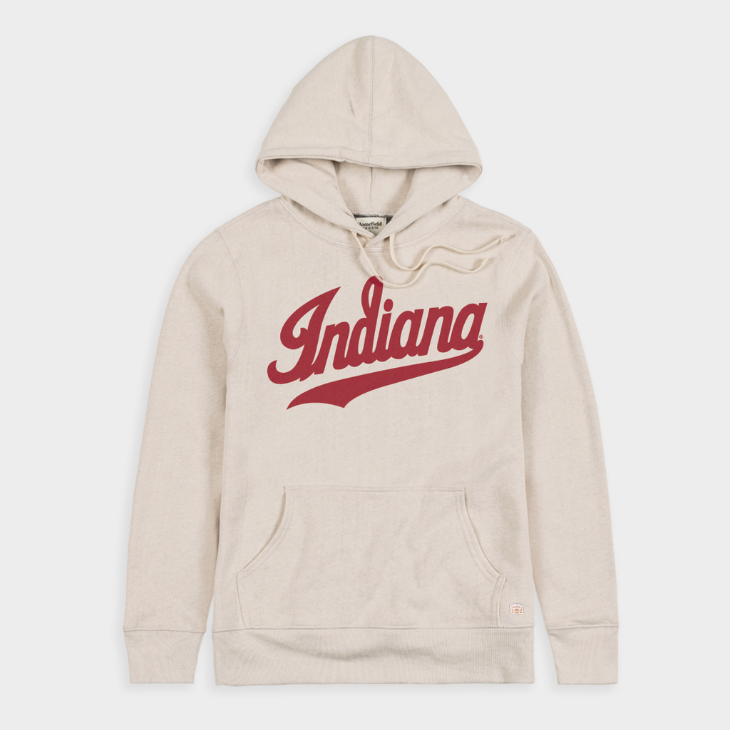 Homefield University of Michigan Hoodie Xs / Triblend Oatmeal