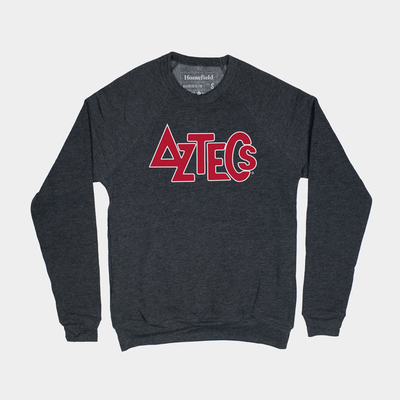  San Diego State Aztecs Victory Vintage Logo Long Sleeve T-Shirt  : Sports & Outdoors